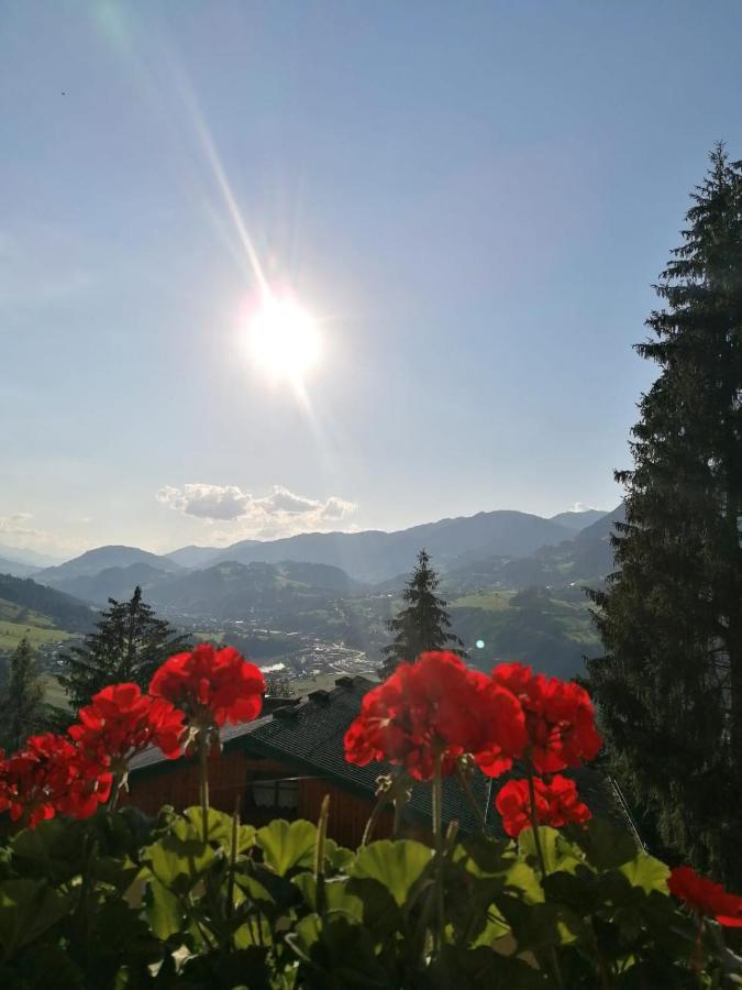 Ferienhaus Deutschmann Sankt Johann im Pongau Dış mekan fotoğraf